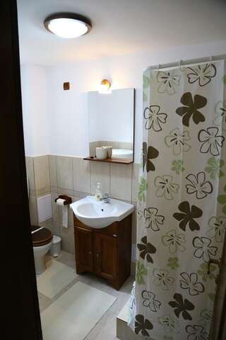 Гостевой дом Pensiunea Lupul Dacic Costeşti Двухместный номер с 1 кроватью и собственной ванной комнатой-3