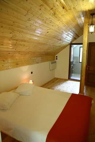Гостевой дом Pensiunea Lupul Dacic Costeşti Двухместный номер с 1 кроватью и собственной ванной комнатой-5