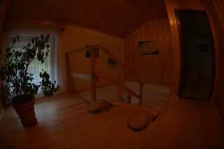 Гостевой дом Pensiunea Lupul Dacic Costeşti Двухместный номер с 1 кроватью или 2 отдельными кроватями-4
